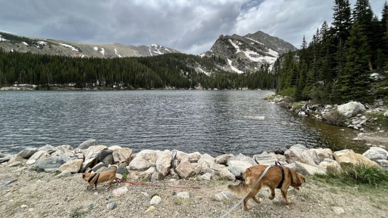 Fall River Reservoir has free camping without reservations in Colorado