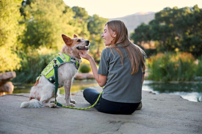 Petco Teams Up With Online Retailer Backcountry To Target Camping Canines