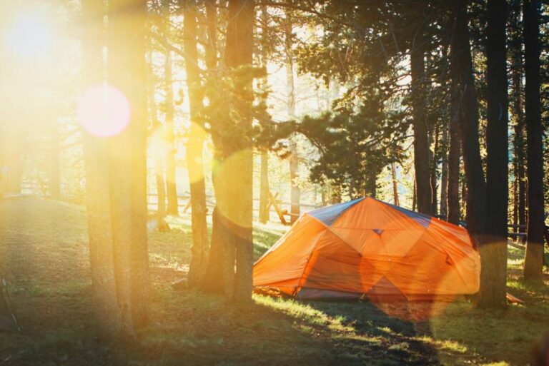 How to Find Free Camping in California’s National Forests