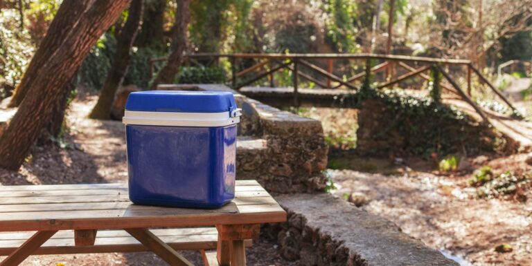 10 Best Coolers For Camping