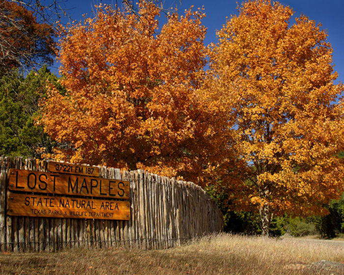 20 state parks for fall camping within a day’s trip from San Antonio